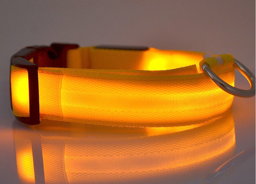 Collar LED Luminoso para Perros y Gatos – Seguridad Nocturna Ajustable