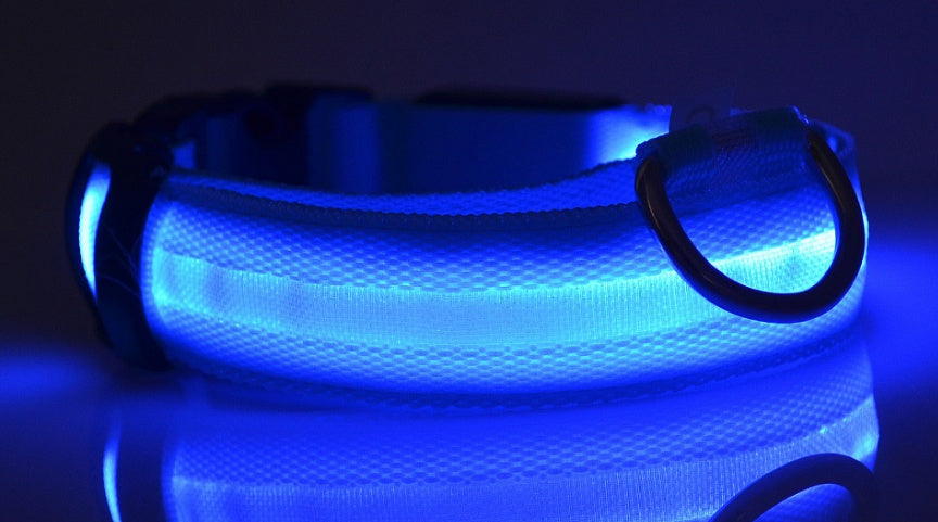 Collar LED Luminoso para Perros y Gatos – Seguridad Nocturna Ajustable