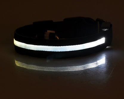 Collar LED Luminoso para Perros y Gatos – Seguridad Nocturna Ajustable