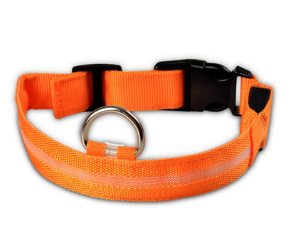 Collar LED Luminoso para Perros y Gatos – Seguridad Nocturna Ajustable