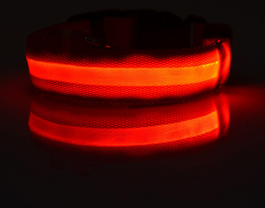 Collar LED Luminoso para Perros y Gatos – Seguridad Nocturna Ajustable