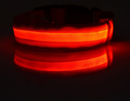 Collar LED Luminoso para Perros y Gatos – Seguridad Nocturna Ajustable