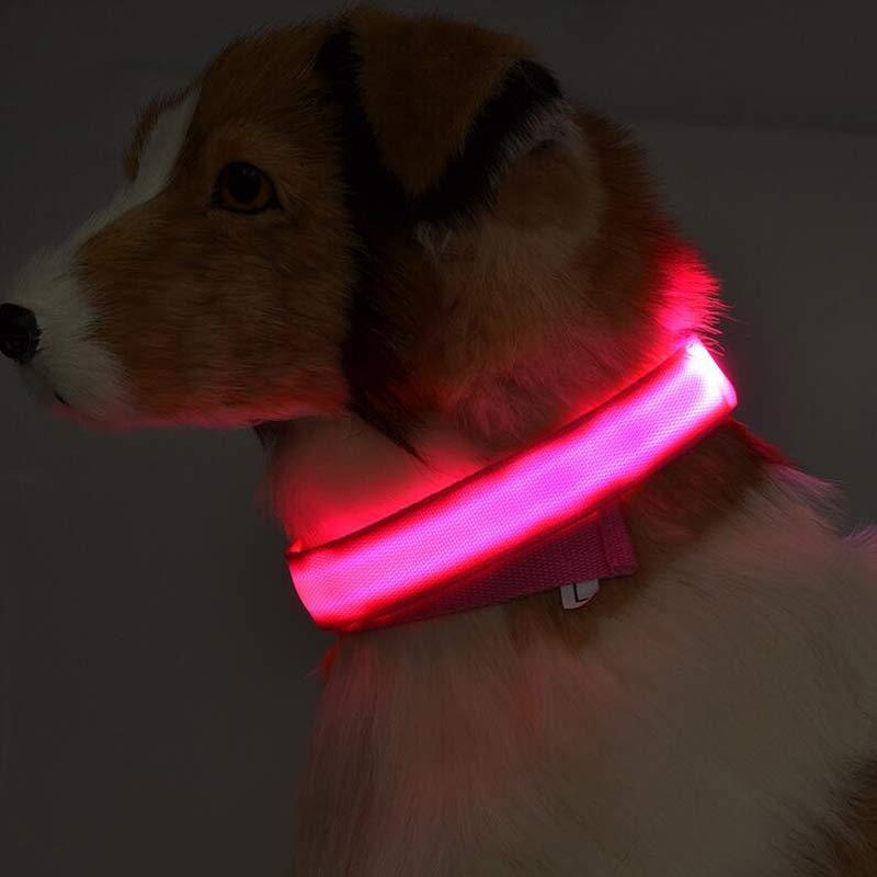 Collar LED Luminoso para Perros y Gatos – Seguridad Nocturna Ajustable