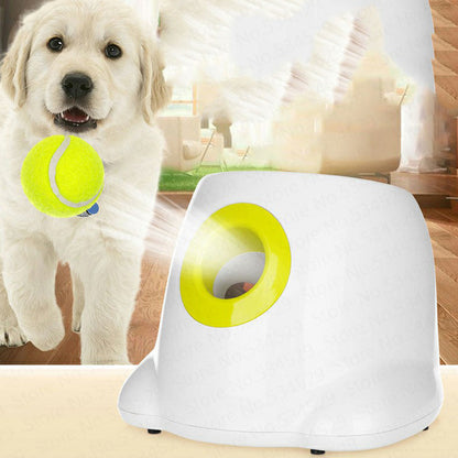 Lanzapelotas Automático e Interactivo para Perros